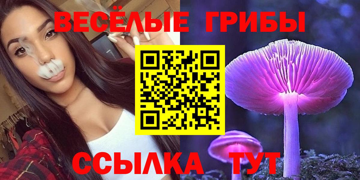 Галлюциногенные грибы Cubensis Красноуфимск