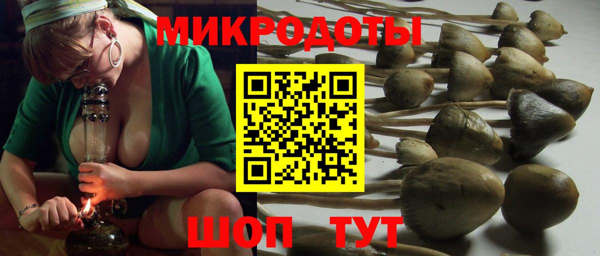 Красноуфимск  Псилоцибиновые грибы Psilocybine cubensis  Галлюциногенные грибы Magic Shrooms  Вход с VPN 